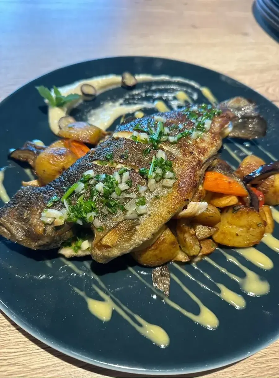 Gebratene Forelle mit frischen Kräutern auf Kartoffeln und mediterranem Gemüse